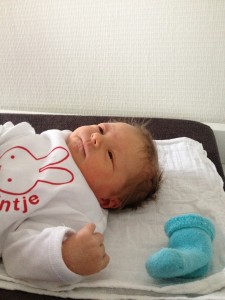IMG_0186 (1)      